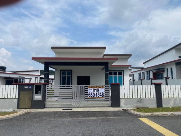 WhatsApp Image 2025 02 20 at 21.41.32 1