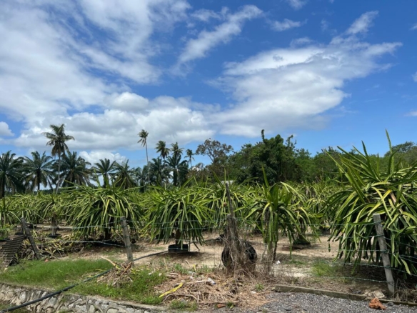 WhatsApp Image 2025 03 19 at 1.53.46 PM 1 1