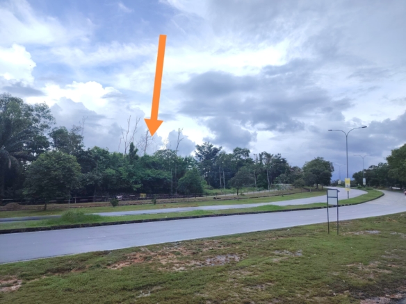 WhatsApp Image 2025 06 17 at 11.39.19 AM 2