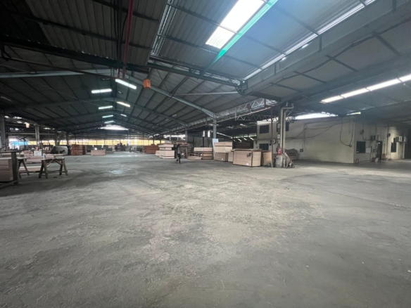 WhatsApp Image 2025 08 10 at 9.07.46 AM