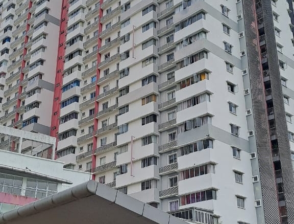 WhatsApp Image 2025 07 29 at 11.06.17 1